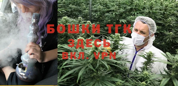 Альфа ПВП Алексин