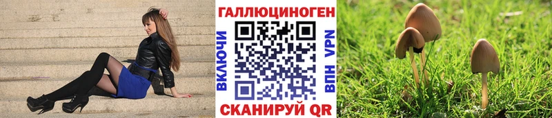 Галлюциногенные грибы Cubensis  Нальчик 